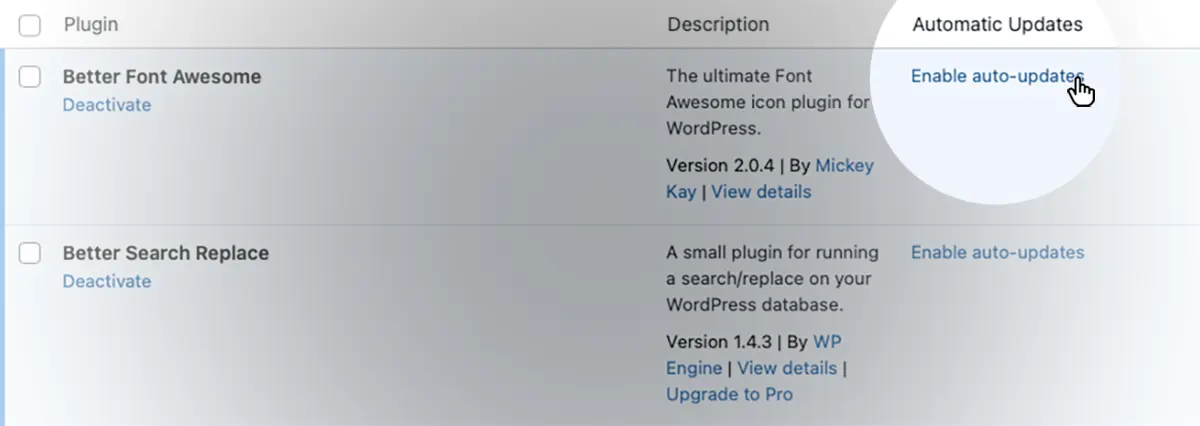 Dashboard view of WordPress Auto-Updates at the plugin-level.